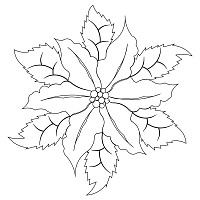 poinsettia single